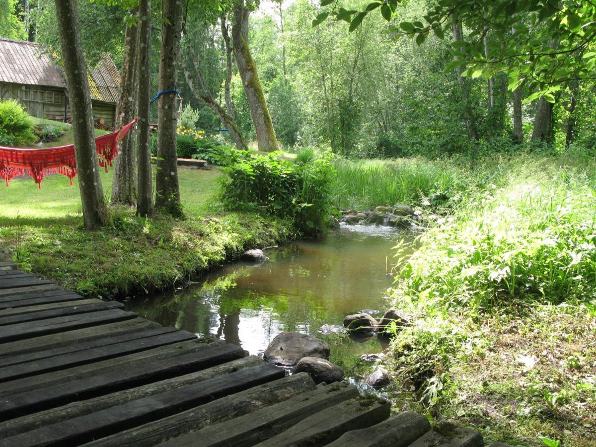 Latava Villa Anykščiai Exterior foto